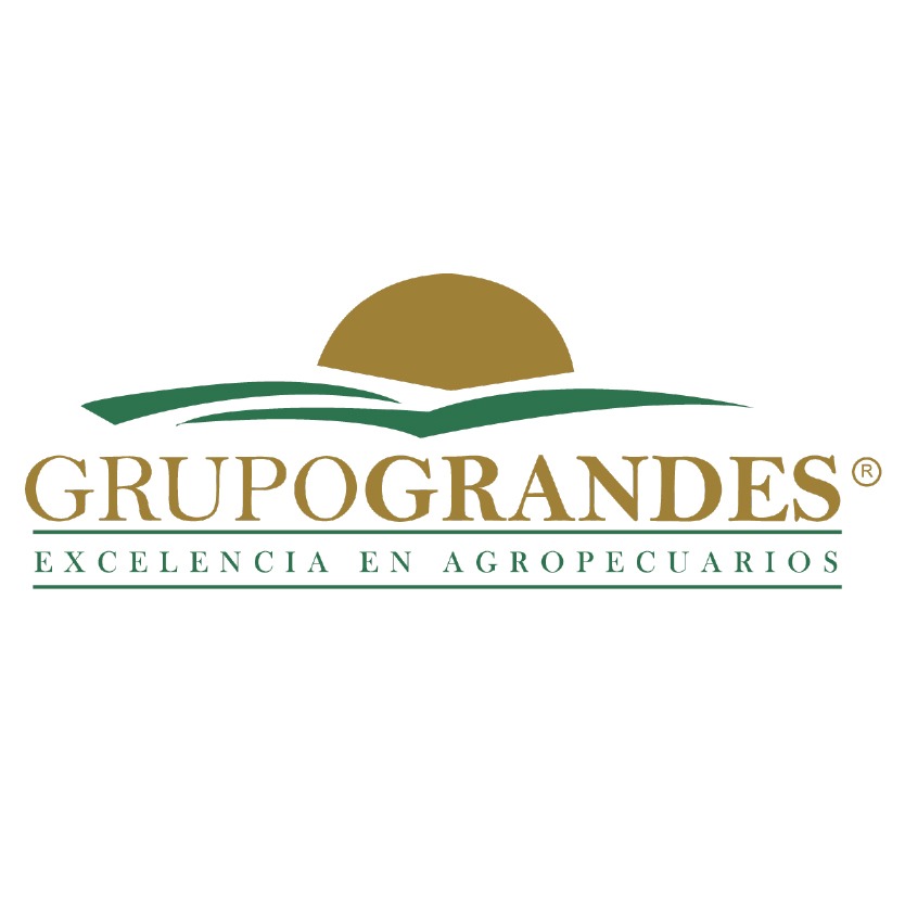 logo grupo grandes